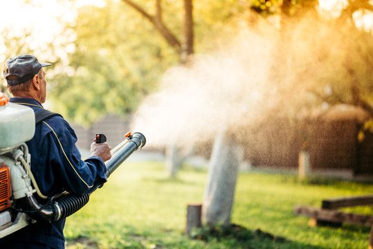 Eliminate Mosquito and Tick Populations so You Can Enjoy the Outdoors Pest-Free!